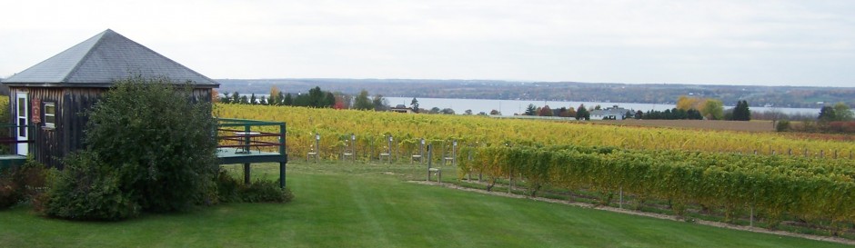 Fingerlakes Wine Review